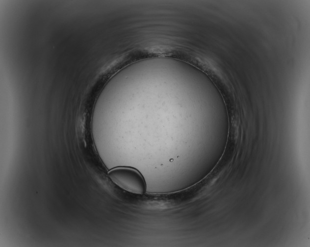 X0000083590404200703021850