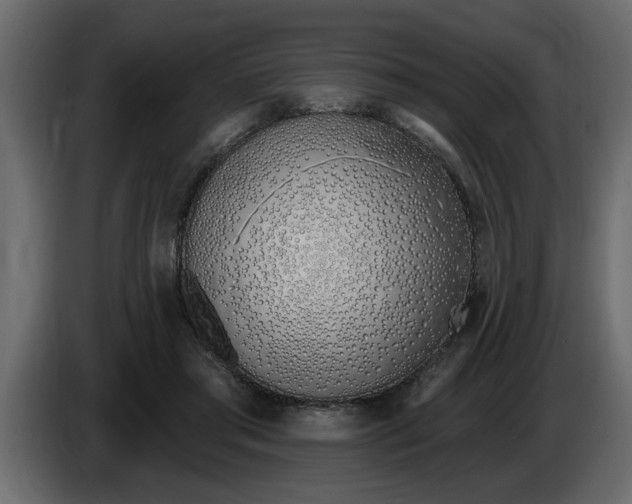 X0000083590405200703021850