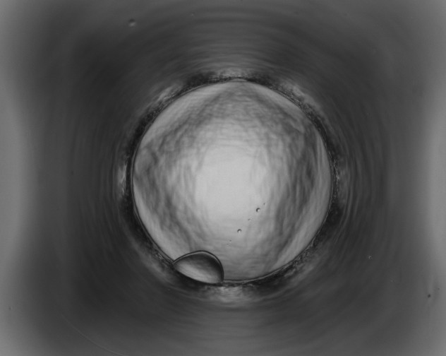 X0000083590406200703021850