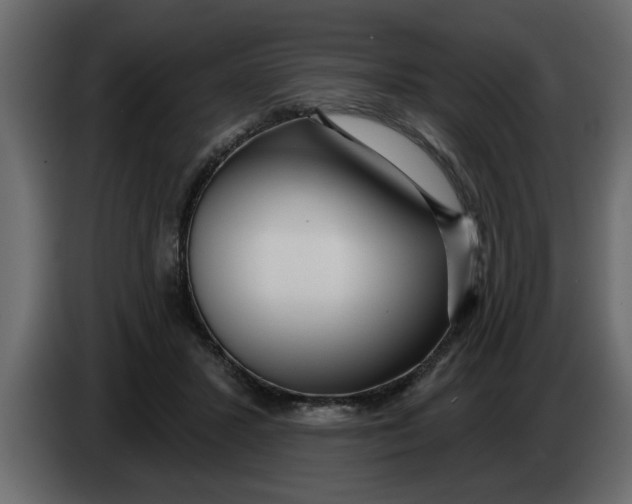 X0000083590407200703021850