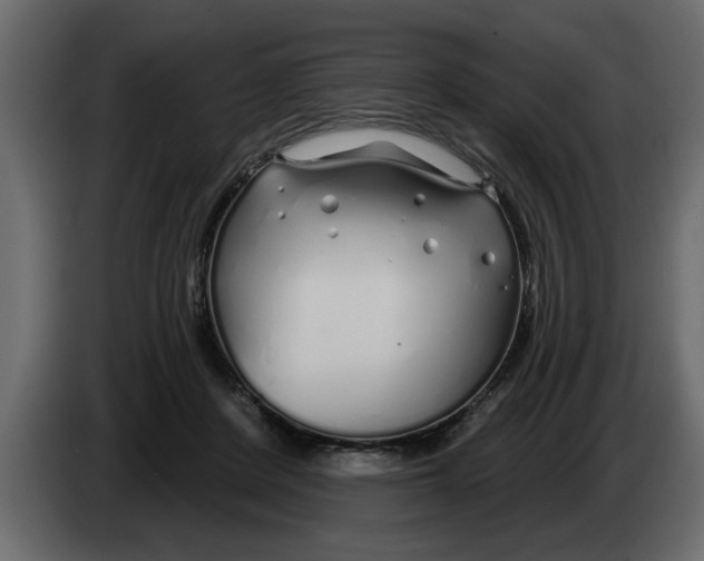 X0000083590408200703021850