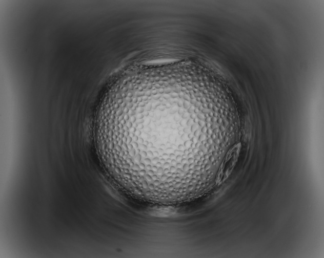 X0000083590409200703021850
