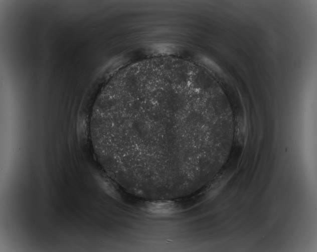 X0000083590410200703021850