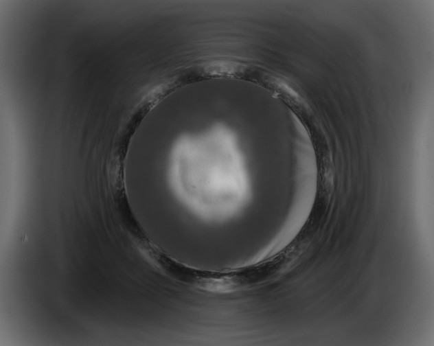 X0000083590411200703021850