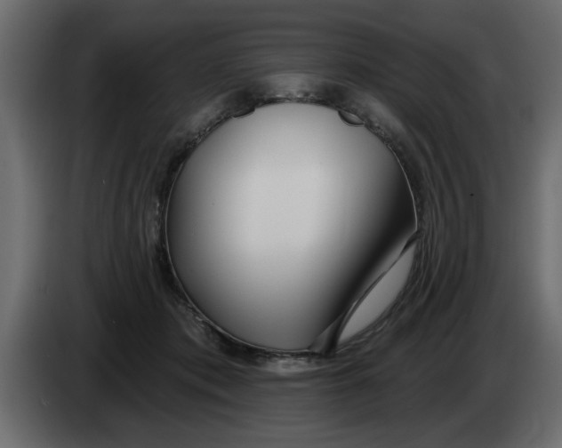X0000083590413200703021850