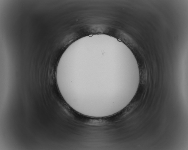 X0000083590414200703021850