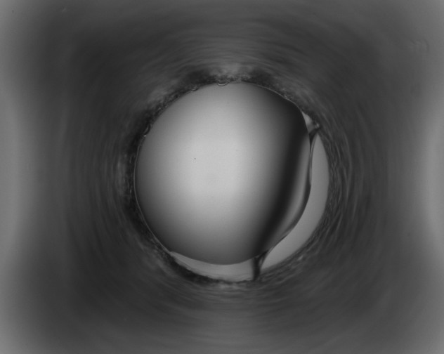 X0000083590416200703021850