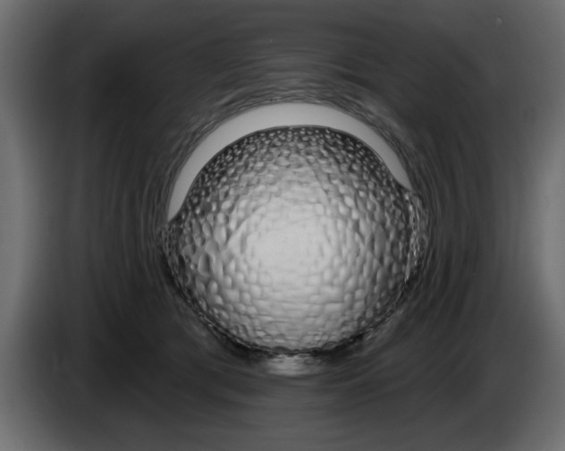 X0000083590417200703021850