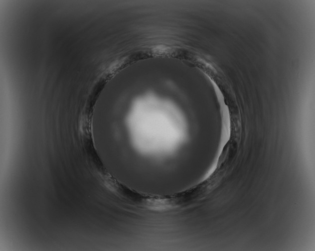 X0000083590419200703021850
