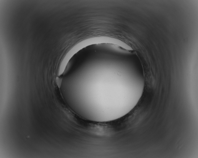 X0000083590420200703021850