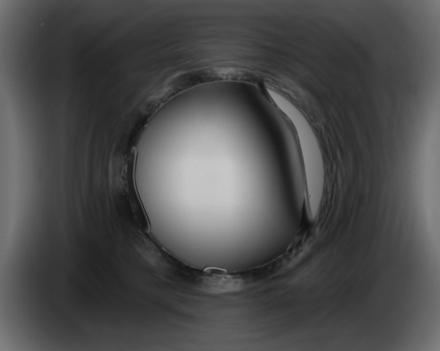 X0000083590421200703021850