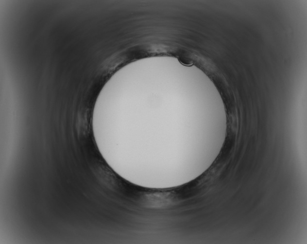 X0000083590422200703021850