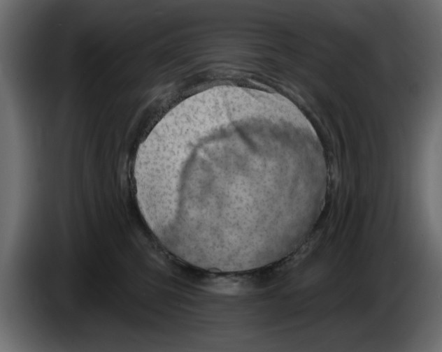 X0000083590423200703021850