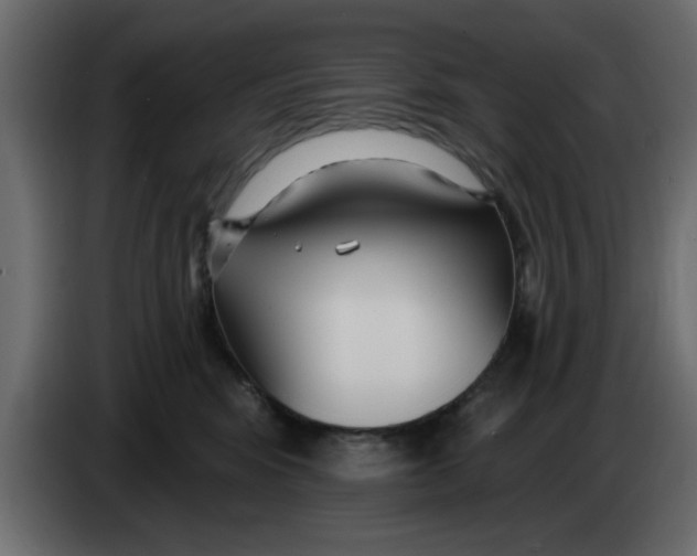 X0000083590424200703021850