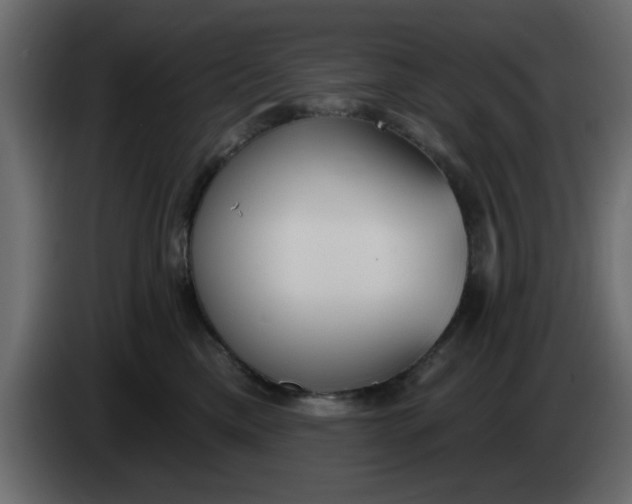 X0000083590425200703021850
