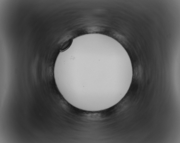 X0000083590426200703021850