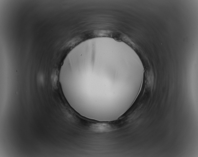 X0000083590427200703021850