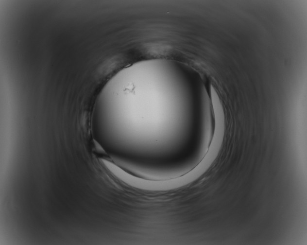 X0000083590428200703021850