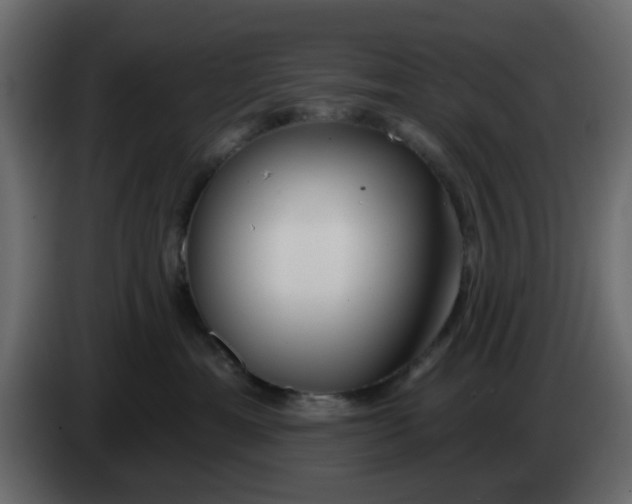 X0000083590429200703021850