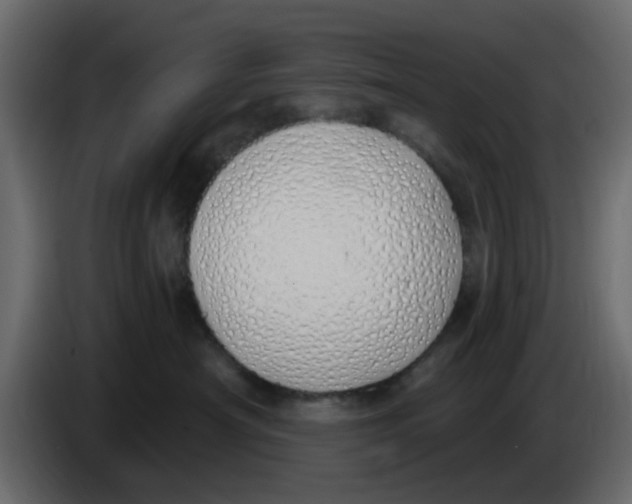 X0000083590430200703021850