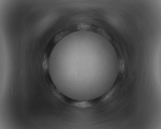 X0000083590431200703021850