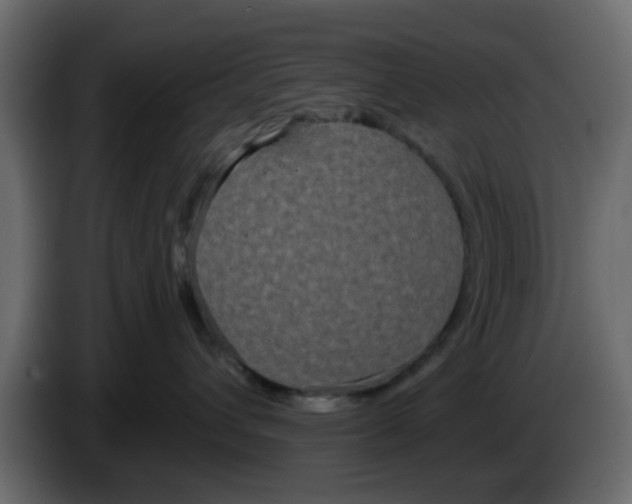 X0000083590432200703021850