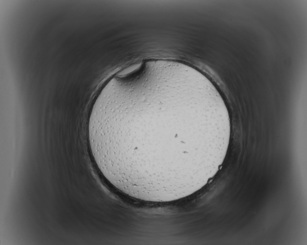 X0000083590433200703021849