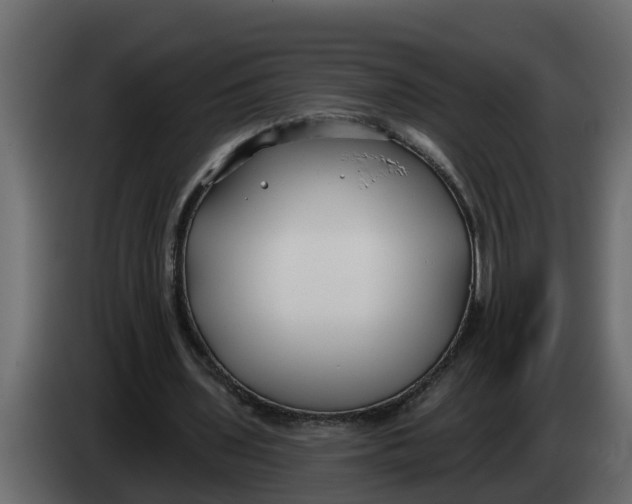 X0000083590435200703021849
