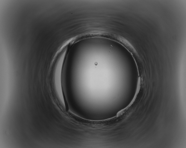 X0000083590436200703021849