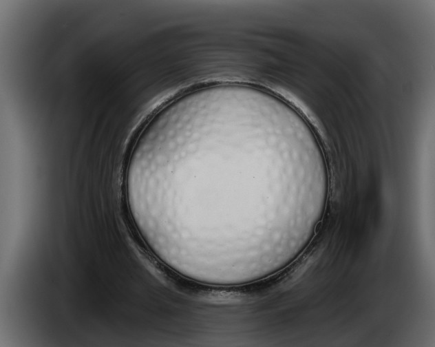 X0000083590437200703021849