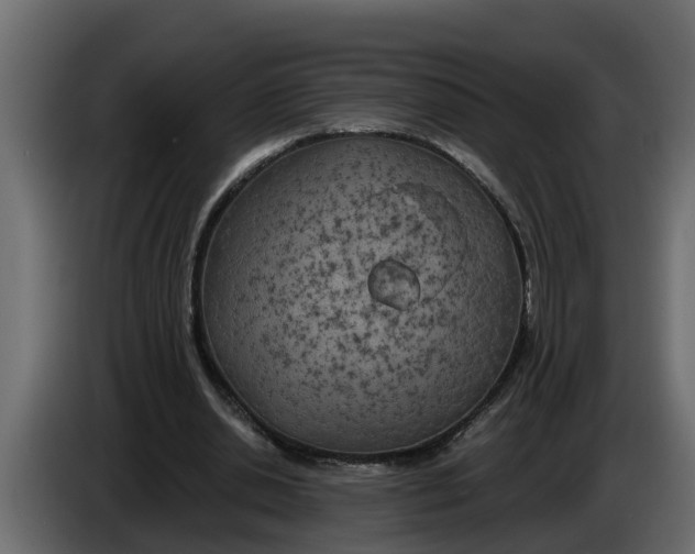X0000083590438200703021849