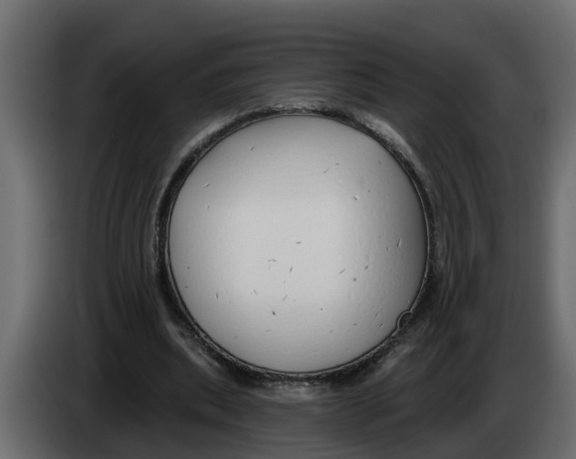 X0000083590439200703021849