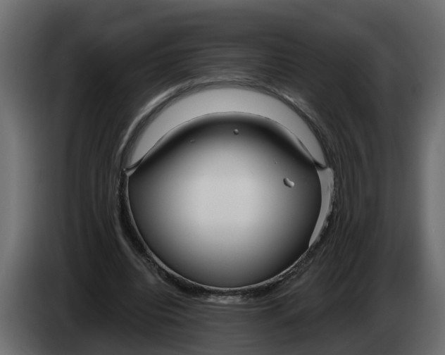 X0000083590440200703021849