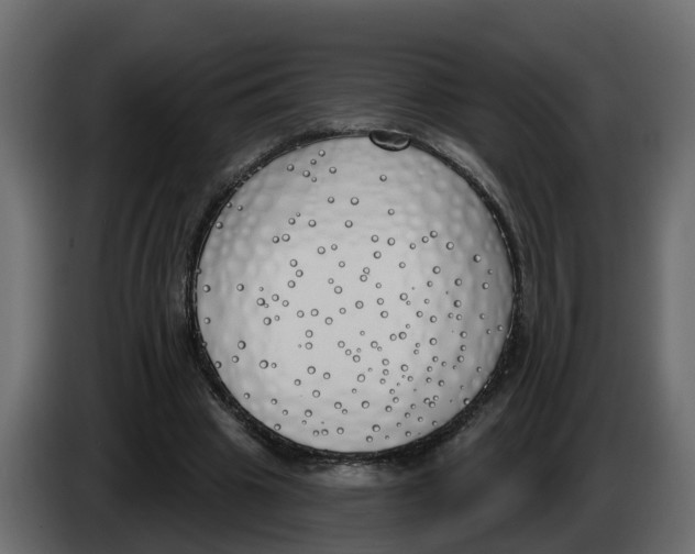 X0000083590441200703021849