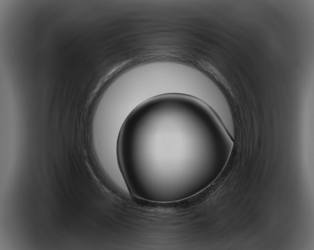 X0000083590444200703021849