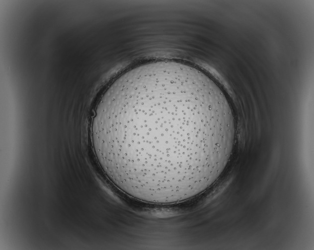 X0000083590445200703021849