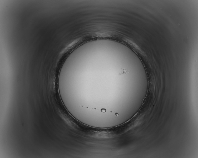 X0000083590446200703021849