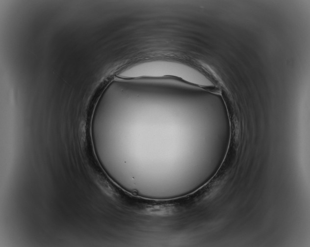 X0000083590447200703021849