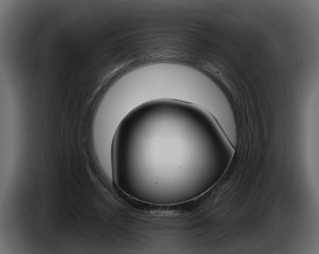 X0000083590448200703021849