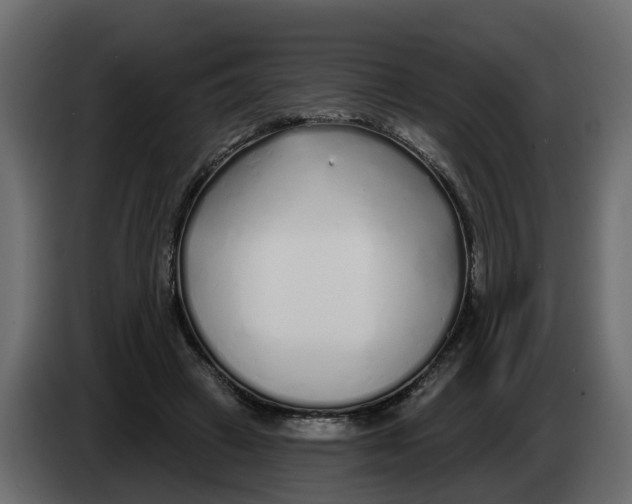 X0000083590449200703021849
