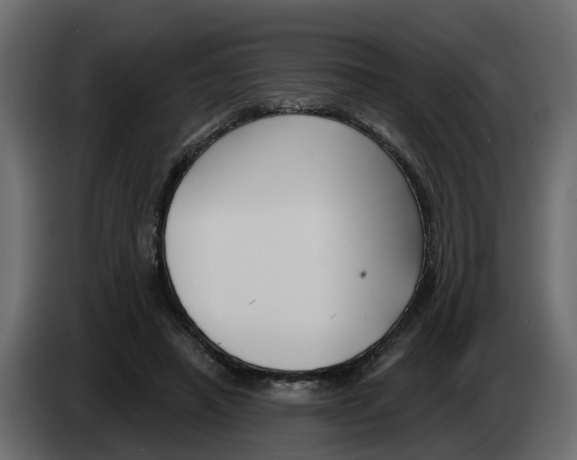 X0000083590450200703021849