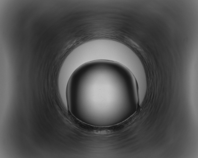 X0000083590452200703021849