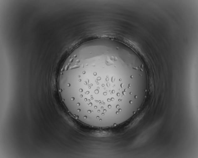 X0000083590453200703021849