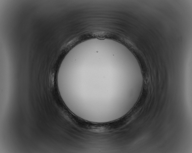 X0000083590454200703021849
