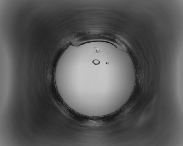 X0000083590455200703021849