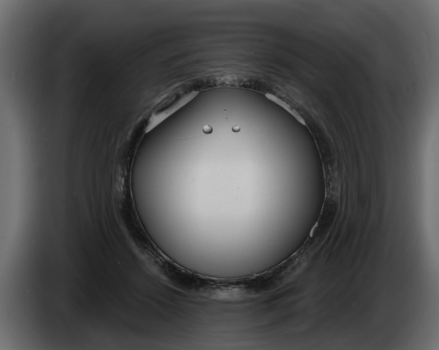 X0000083590456200703021849