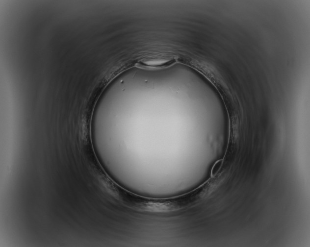 X0000083590457200703021850