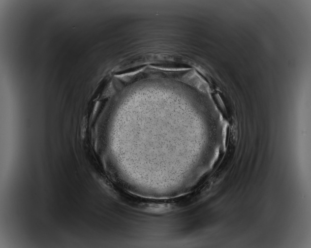 X0000083590458200703021850