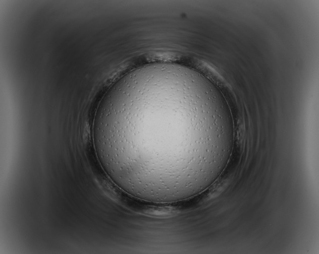 X0000083590459200703021850