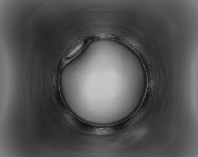 X0000083590461200703021850